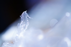幻想空間