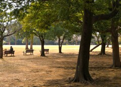 昼過ぎの公園