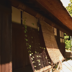 古民家の夏