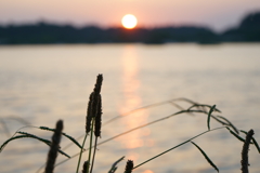 湖と夕日