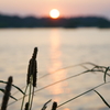 湖と夕日