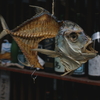 干物のオブジェ
