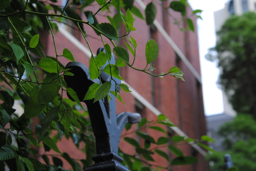 東京大学