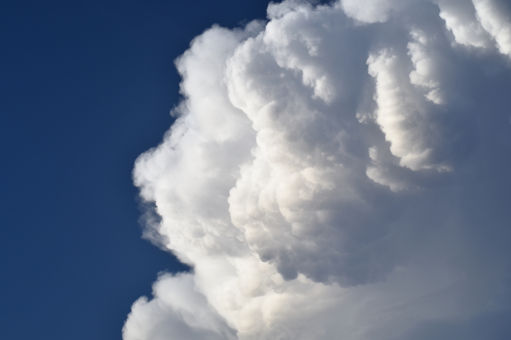 雲