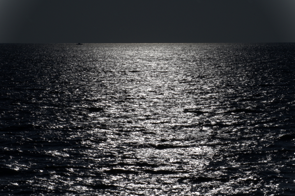 海