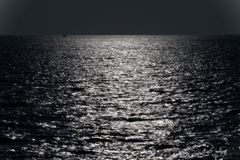 海
