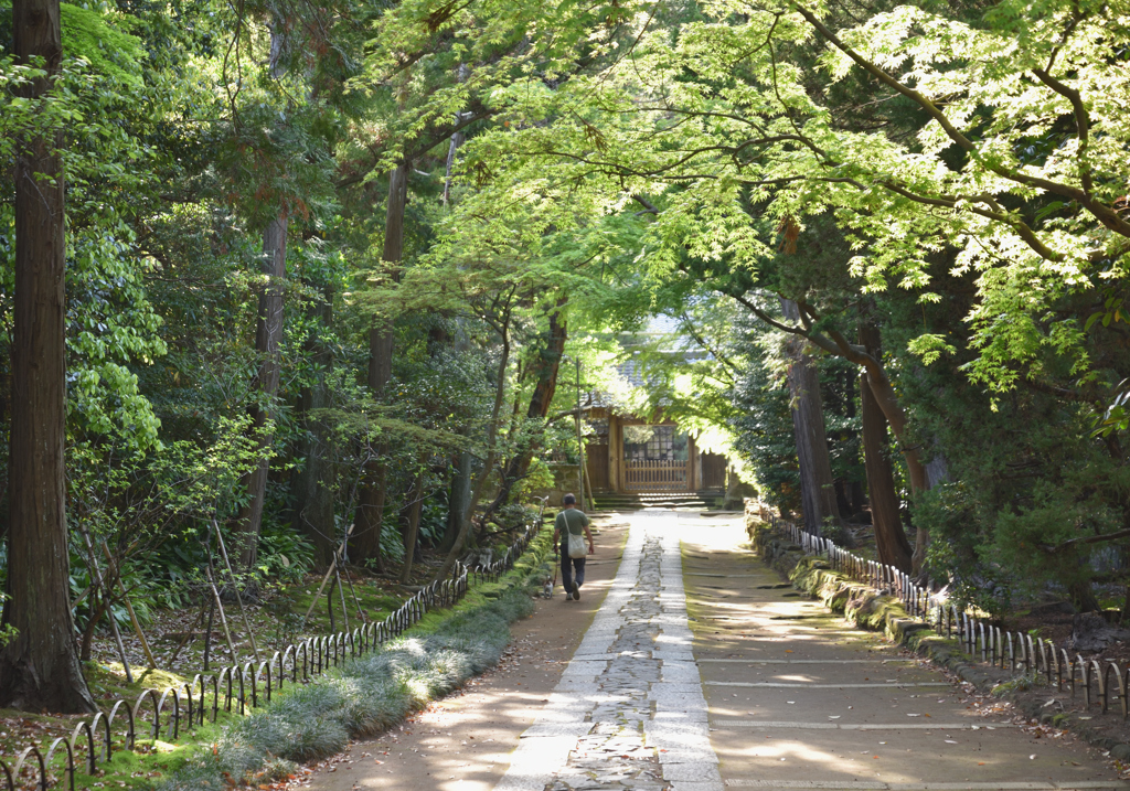 参道