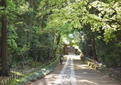 参道