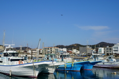 小さな漁港