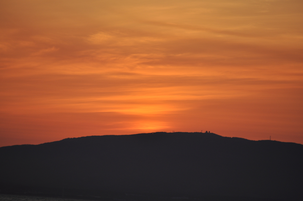 DSC2_1684