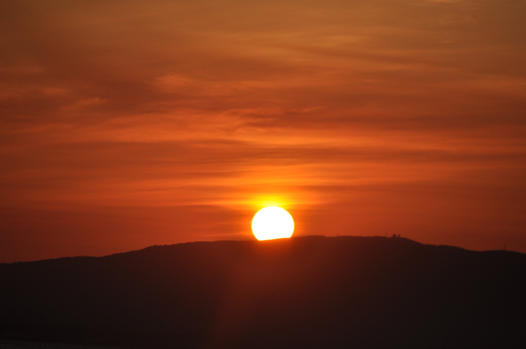 DSC2_1655