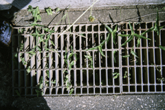 グレーチング_02