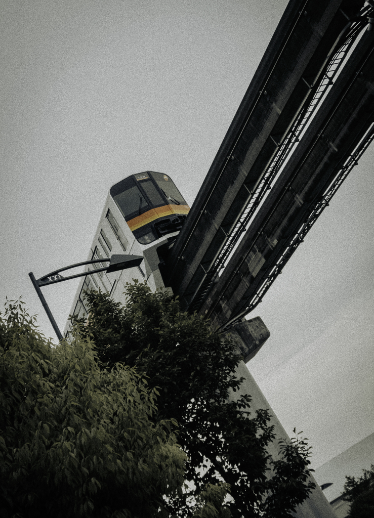 TZ99077