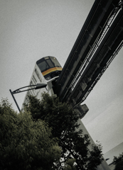 TZ99077