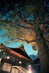 2013初詣2