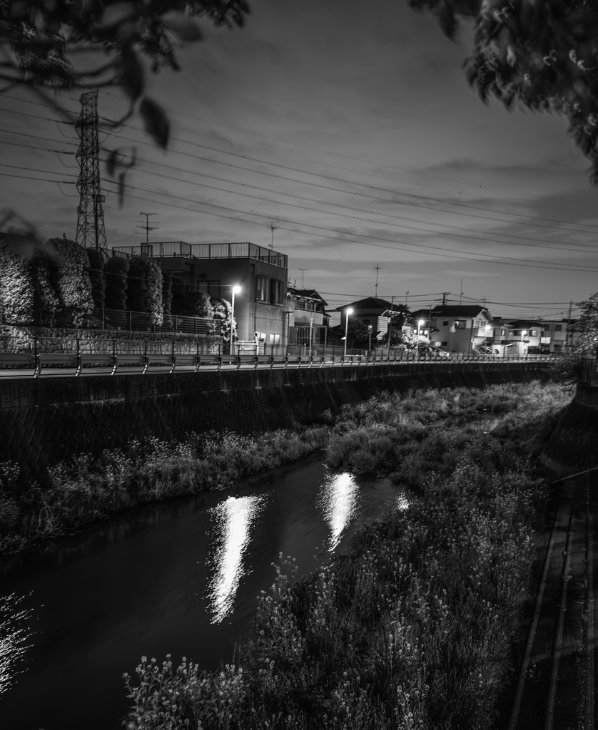 夜の川