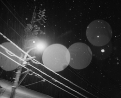 雪の電柱
