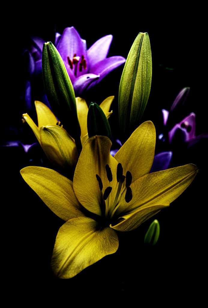 Emotional Flower_04