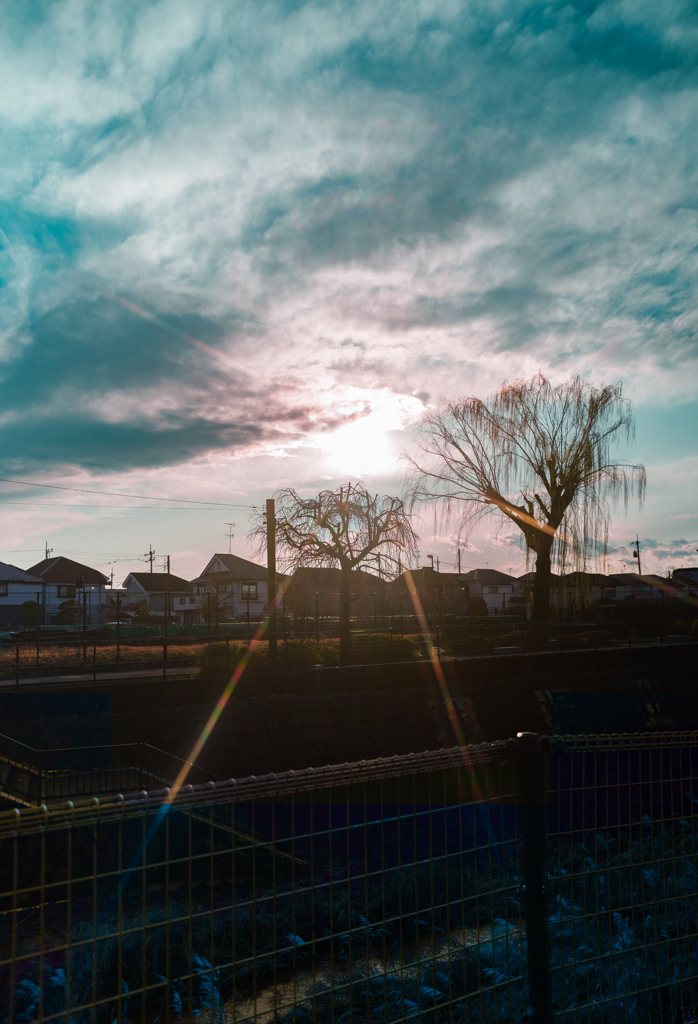 夕日の土手