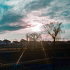 夕日の土手
