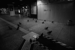 鳩交差点