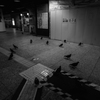鳩交差点