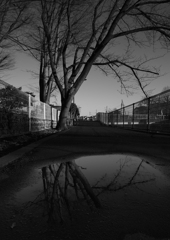 水たまりモノクローム