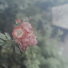Emotional Flower_02