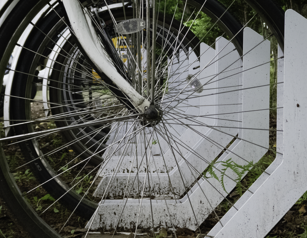 無限車輪天国