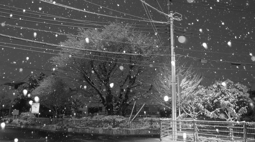 雪の公園