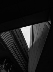 TZ99013