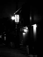 発光うなぎ