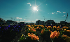 花