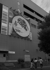 TZ99029