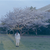 桜と嫁