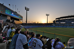 坊っちゃんスタジアム_東京ヤクルトスワローズvs阪神タイガース