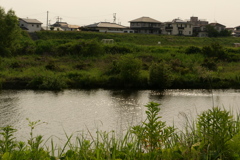 河川敷