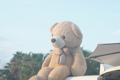 クマさん