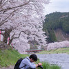 桜の河辺で