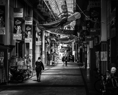 影と鱗のアーケード