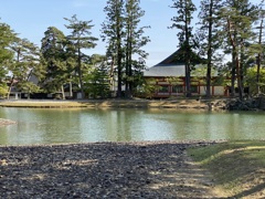 水のある風景