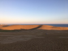 早朝の砂丘