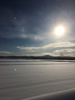 雪の大地