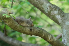 ひと休み