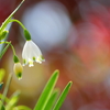 華