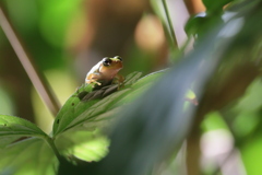 お肌しっとり