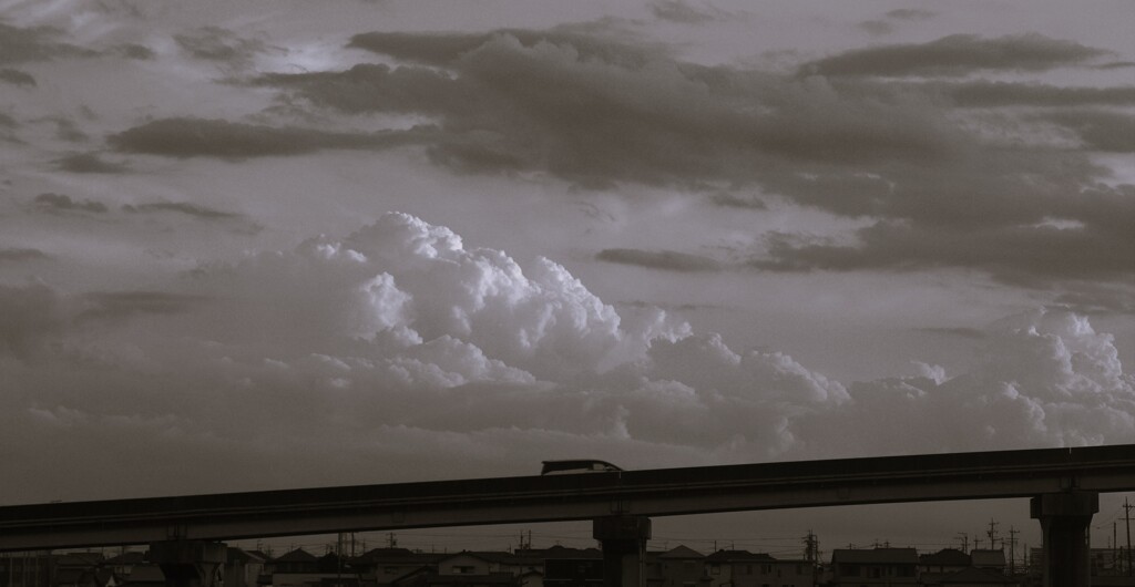 秋の積雲