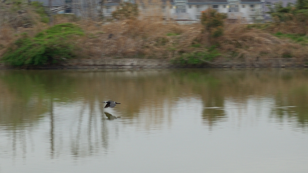 水面滑空