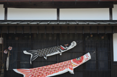 格子で泳ぐ鯉のぼり