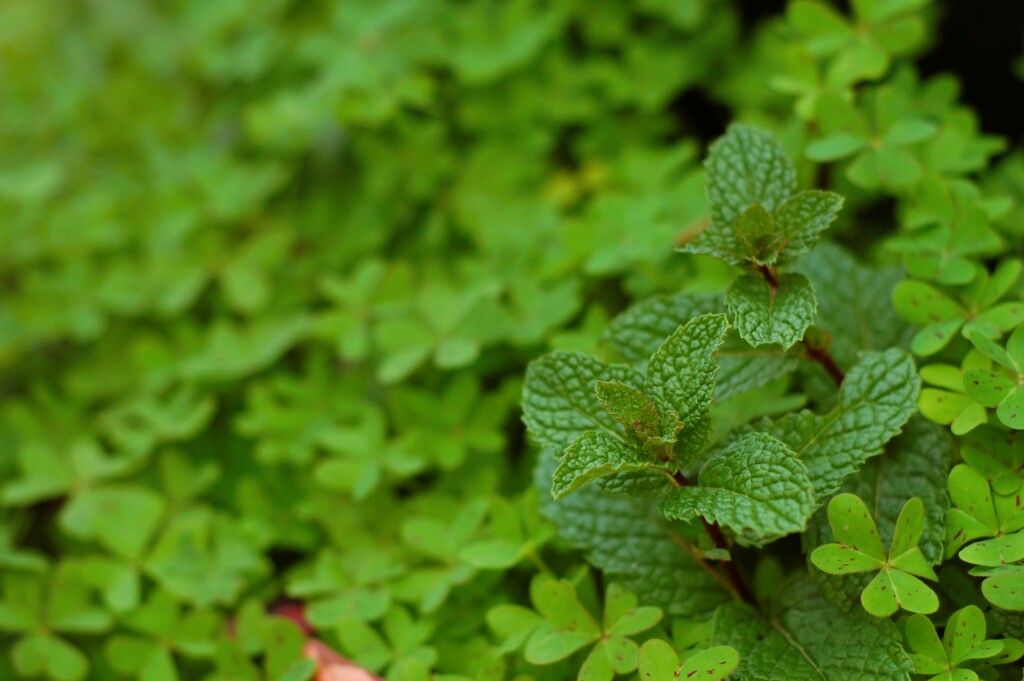 師走のリフレッシュタイム